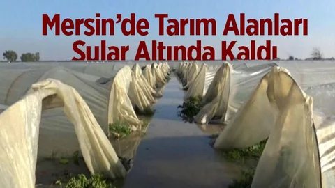 Mersin'de Tarım Alanları Sular Altında Kaldı