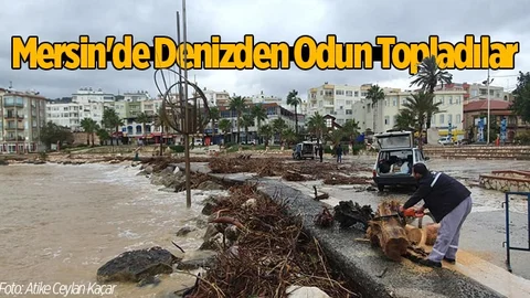 Mersin'de Vatandaşlar Selin Getirdiği Odunları Topladılar