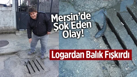 Mersin'de Kanalizasyondan Balık Fışkırdı