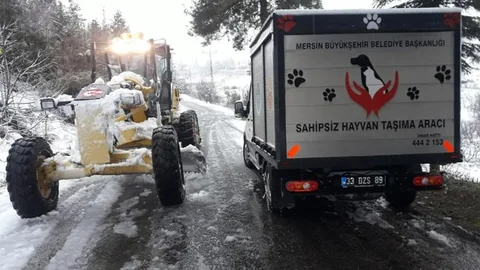 Yaralı Köpek, Veterinerlik ve Karla Mücadele Ekipleri Tarafından Kurtarıldı
