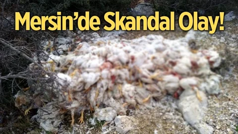 Mersin'de Skandal Olay!