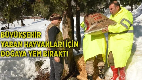 Büyükşehir, Yaban Hayvanları İçin Doğaya Yem Bıraktı
