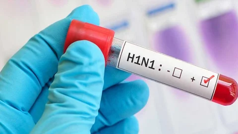 Domuz Gribi Endişesi! 2 Çocuk Hayatını Kaybetti