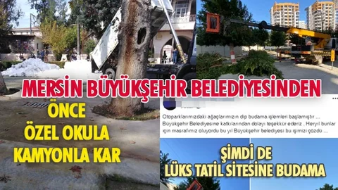 Önce Özel Okula Kamyonla Kar, Şimdi de Lüks Tatil Sitesine Budama