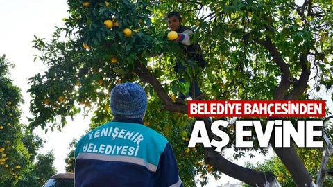 Belediye Bahçesinden Aşevine