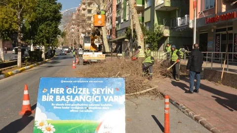 Ekipler Kış Budamalarına Devam Ediyor