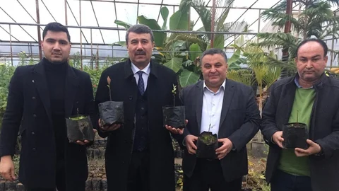 Anamur Belediye Başkanı Kılınç " İlk Fidemiz Baş Gösterdi"