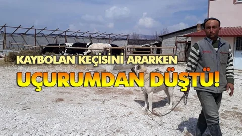 Kaybolan Keçisini Ararken Uçurumdan Düştü!