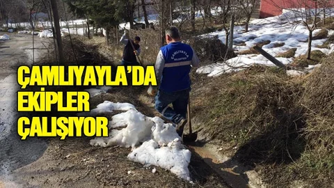 Çamlıyayla İlçe Belediyesi Ekiplerince Kent Genelinde Yapılan Temizlik İşleri Devam Ediyor