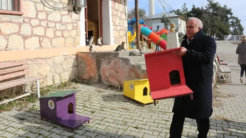 Başkan Tollu'dan "Kedi Evi Projesi"