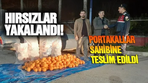 Jandarma Portakal Hırsızlarını Yakaladı!
