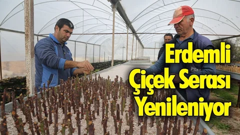 Erdemli Çiçek Serası Yenileniyor