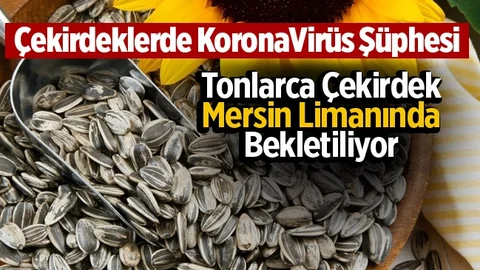 Çin'den Mersin Limanına Tonlarca Getirildi