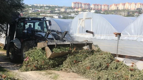 Erdemli’de Tarım Arazilerinde Temizlik Çalışması