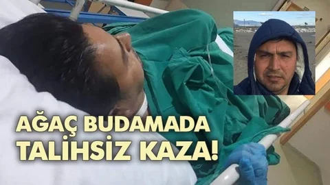 Spiral Taşlama Makinesi İle Ağaç Budamaya Çalışan Bir Kişi Kendini Yaraladı