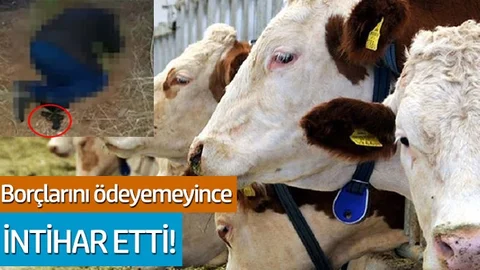 Mahalle Muhtarı İntihar Atti