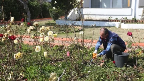 Erdemli Baharı Karşılıyor