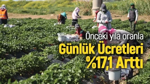 Ortalama Günlük Ücretleri %17,1 Arttı