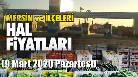 9 Mart Pazartesi Yaş Sebze ve Meyve Hal Fiyatları