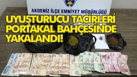 Polis Göz Açtırmıyor: Tacirler Portakal Bahçesinde Yakalandı