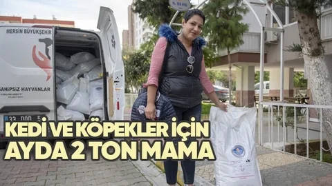 Kedi ve Köpekler İçin Ayda 2 Ton Mama