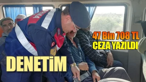 Kazaya Karışma Oranları Artınca