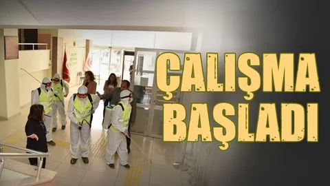 Çalışma Başladı
