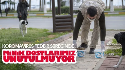 Kedi ve Köpek Dostlarımız Sokakta Aç Kalmayacak
