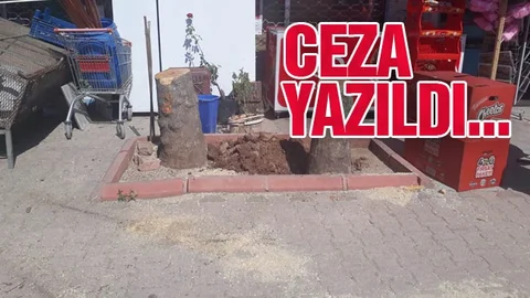 Tutanak Tutulup Ceza Uygulandı