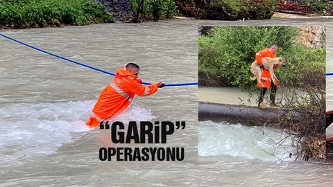"Garip" Operasyonu