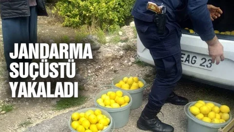 Hırsızlar Limona Dadandı!