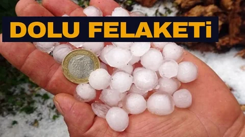 Dolu Çiçek Dönemindeki Ağaçlarda Zarar Yol Açtı