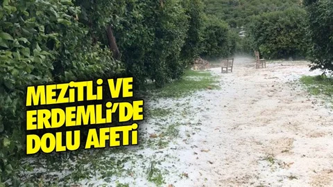 İki İlçede Dolu Yağışı