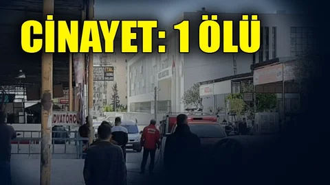 Damat Kayın Babasını Öldürdü