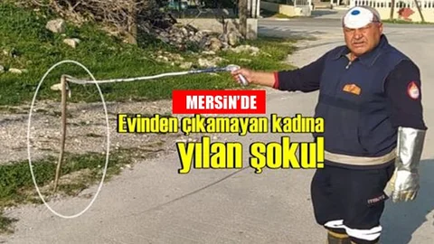 Eve Giren Yılan Doğal Ortamına Bırakıldı