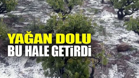 Dolu Birçok Yerde Zarara Yol Açtı!