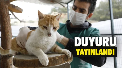 Geçici Olarak Ziyarete Kapatıldı!