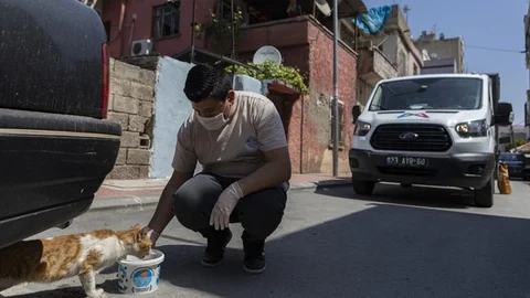 Mersinliler Evde, Büyükşehir Görevde