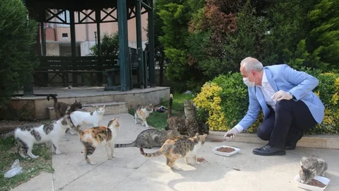 Başkan Gültak, "Sokaktaki Canları" Elleriyle Besledi