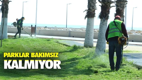 Park ve Bahçeler Ekipleri, Çalışmalarını Aralıksız Sürdürüyor
