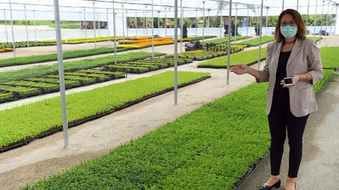 Mersin’de Kadın, Emek, Kooperatifçilik ve Kent Estetiği Var!