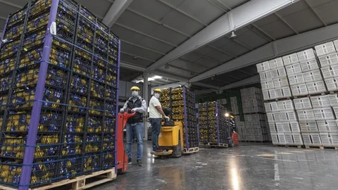 Limonlar İstanbul İçin Yola Çıktı!