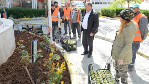 1920 Çiçek Dikildi