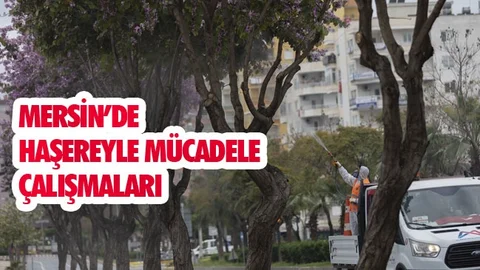 "Mersin Mis Gibi Olsun" Diye Ekipler Görevde