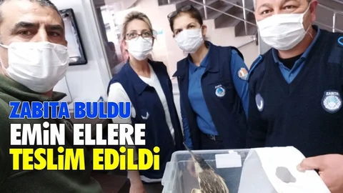 Yaralı Halde Bulundu!