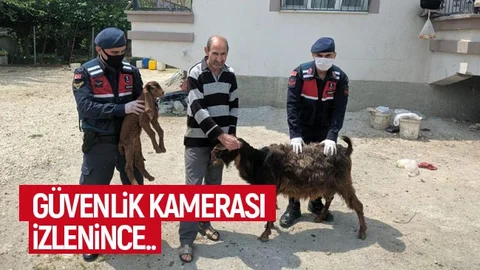 Güvenlik Kamerasını İzleyen Jandarma Ekipleri..