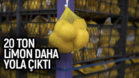 Mersin’den İstanbul’a Doğru 20 Ton Limon Daha Yola Çıktı