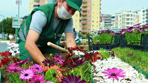 Kültür Park’a 40 Bin Çiçek Dikildi!