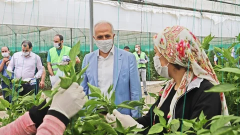 Gültak, 1 Mayıs’ta, Seralarda Çalışan Tarım İşçilerini Ziyaret Etti