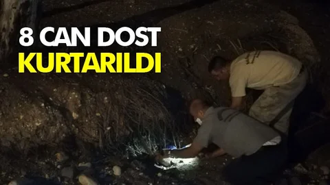 8 Can Dost Kurtarıldı